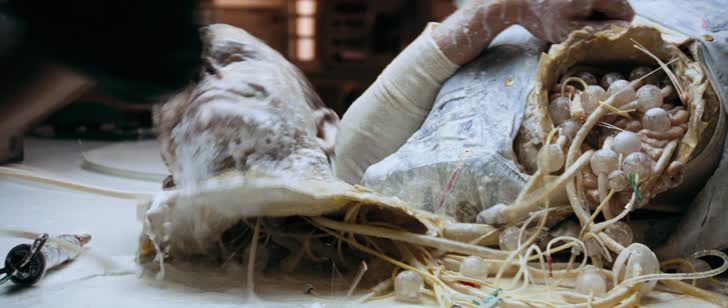 A frame from the selected movie